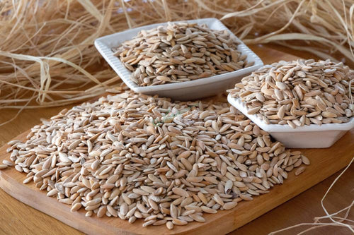 KAVUN ÇEKİRDEĞİ (KAVRULMUŞ) 1 KG